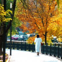 Осень золотая :: Валентин Семчишин Осень золотая :: Валентин Семчишин