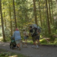 -- :: vladimir -- :: vladimir