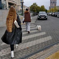 Шире шаг девчонки... :: Николай Саржанов