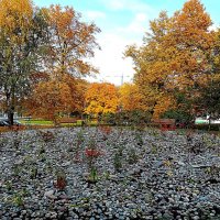 Осень. :: Владимир Драгунский Осень. :: Владимир Драгунский