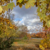 Осень в городе :: Оксана Новик 