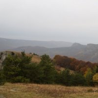 Природа Крыма :: Amazing Cosmea