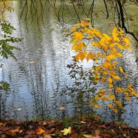 Картинки осени :: Рита Симонова Картинки осени :: Рита Симонова