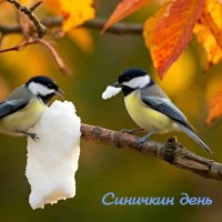 Синичкин день! :: Андрей Заломленков Синичкин день! :: Андрей Заломленков