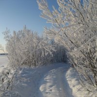 У протоки :: Anna Ivanova