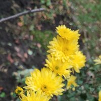 ,,, :: Сергей Тимоновский