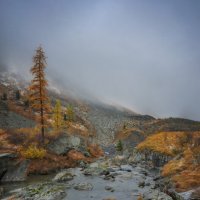 * :: Александр Иванов