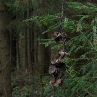 Украшение Для Ёлки :: юрий поляков