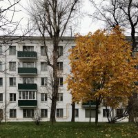 Последнее золото ноября :: Любовь 