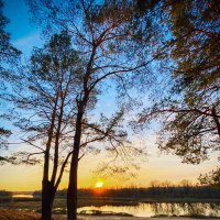 *** :: Игорь Чичиль