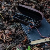 Безмолвие :: Андрей Щетинин