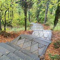 В парке санатория "Горный". :: Виктор Мухин