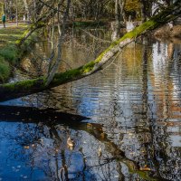 *** :: Геннадий Порохов