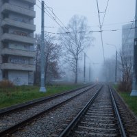 Туманная улица :: Александр Синдерёв