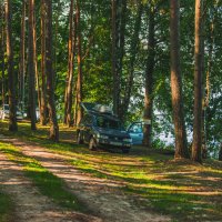 На берегу Чигиринского водохранилища. Беларусь :: Игорь Сикорский