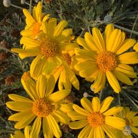 Лето продолжается в ноябре :: Александр Деревяшкин