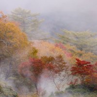 Осень на итурупе :: Ксения N