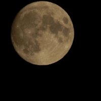 Луна :: Екатерина Панова