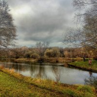 Ноябрь на Терлецких прудах :: Наталья Лакомова