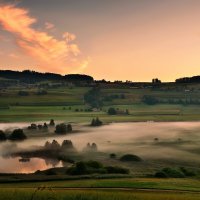 misty morning :: Elena Wymann