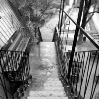 Черно-белая фотография :: Любимова Ольга 