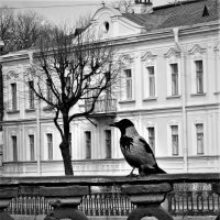 СМОТРЯЩИЙ :: Виктор Никитенко