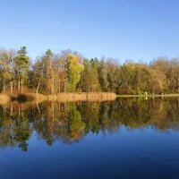 Лес, точно терем расписной, Лиловый, золотой, багряный ... :: Галина 