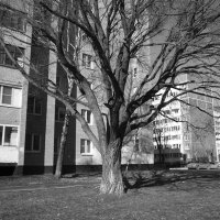 *** :: Владимир Носов