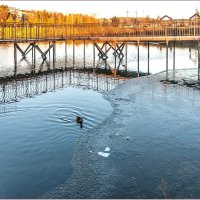 Про осень... :: Aquarius - Сергей