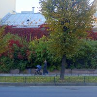 прогулка :: zavitok * прогулка :: zavitok *