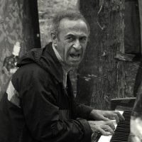 Рояль в кустах :: СЮ 