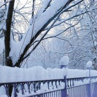 Декабрь...Утро после снегопада! :: Владимир 