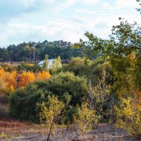 Пейзажи  Крыма :: Валентин Семчишин