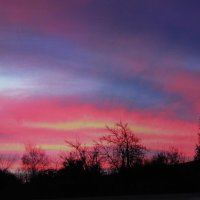 Ноябрьское утро :: Людмила Смородинская Ноябрьское утро :: Людмила Смородинская