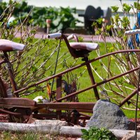 Данным-давно.... :: Sergey Krivtsov