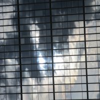 .......... :: Елена Шаламова