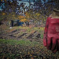 Шесть соток. :: Андрей. 