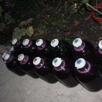 *** :: Serega SchütZ