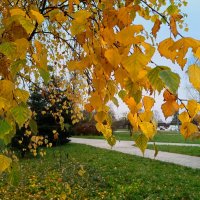 Красивый ноябрь :: Мария Васильева