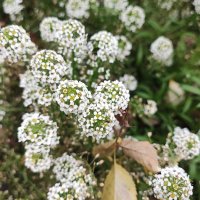 ,,, :: Сергей Тимоновский