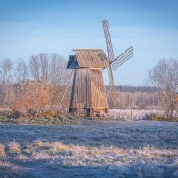 **** :: Елизавета .