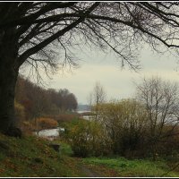 *** :: Aleksandr Gal