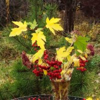 А октябрь улетел  .. :: veilins veilins