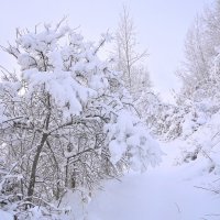 - :: Владимир Мигонькин