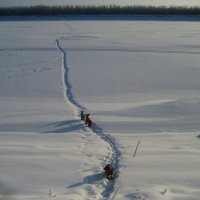 По своей тропе :: Anna Ivanova