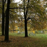 Осень :: ZNatasha -