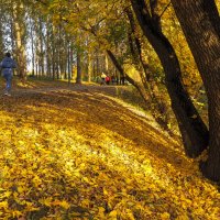 Осенний Сюжет :: юрий поляков Осенний Сюжет :: юрий поляков