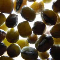 114 (138) :: CLOSE WAYS ALL