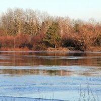 Март. р.Сож :: Сергей Рожков