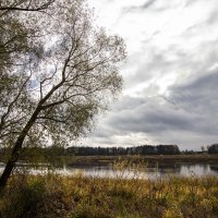 У реки. :: Николай 